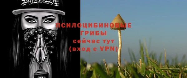 круглые Богородицк